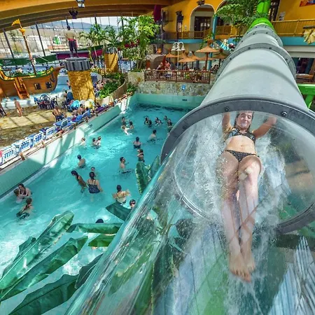 Aquamagis *